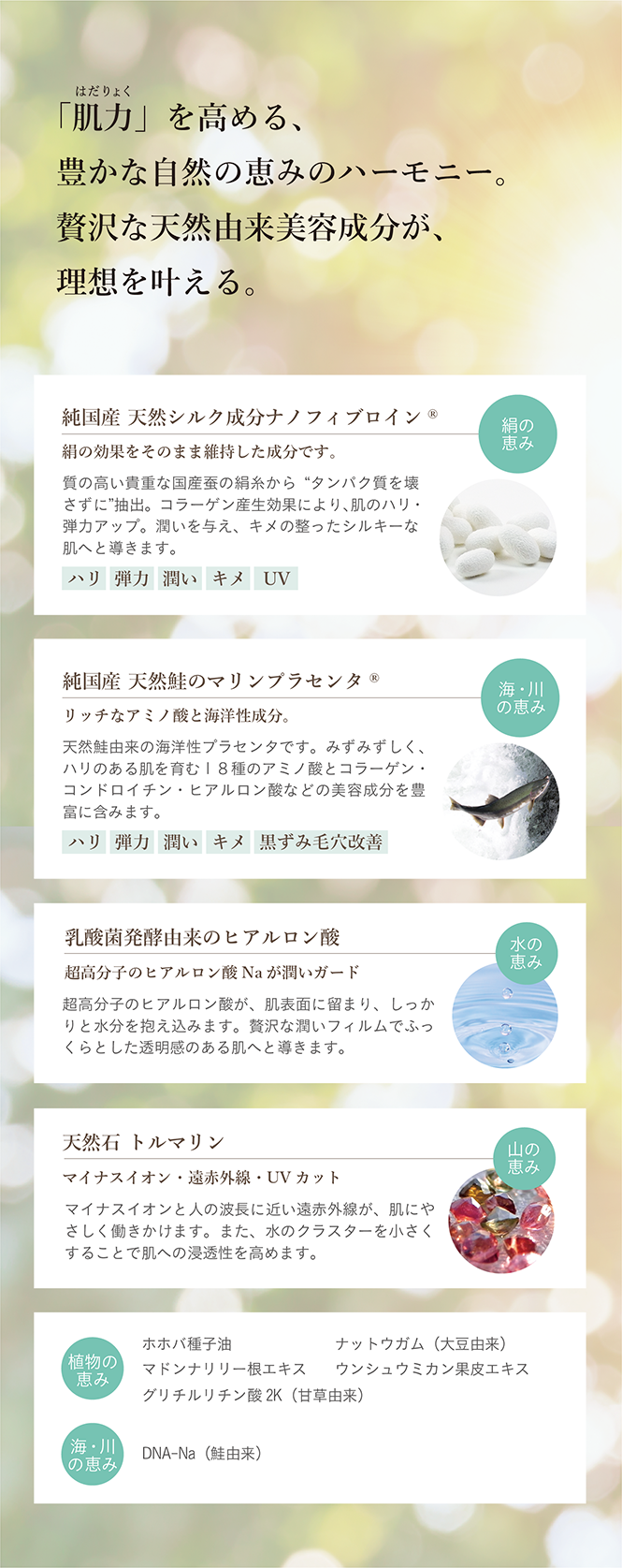 ハーモニー4
