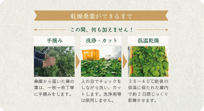ピュアドライ製法の工程