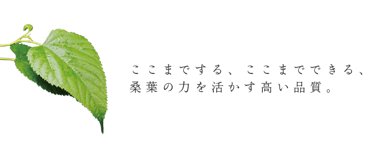 ここまでする、ここまでできる、桑葉の力を活かす高い品質