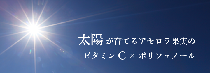 太陽が育てるアセロラ果実のビタミンCとポリフェノール