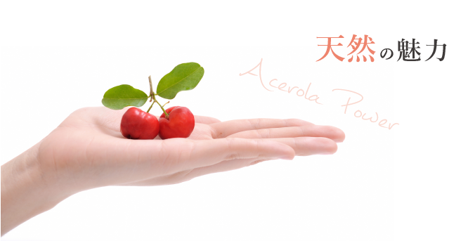 天然の魅力
